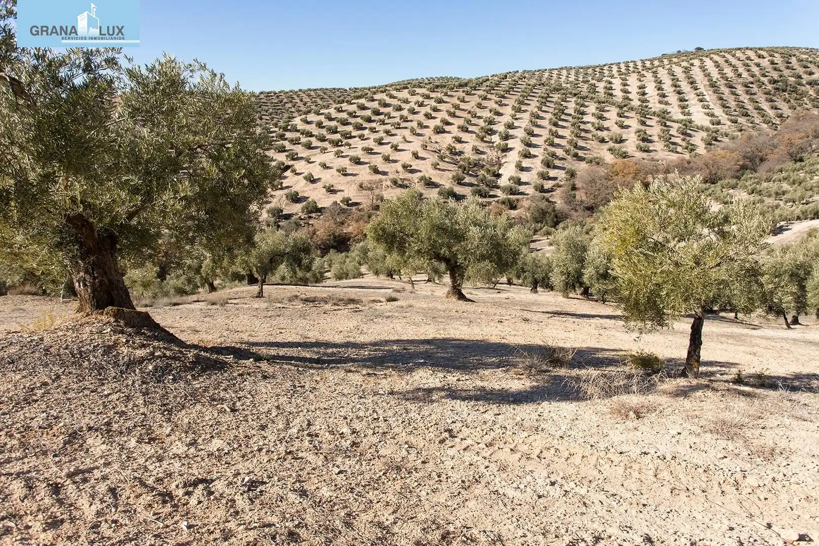 Land for sale in Campotéjar