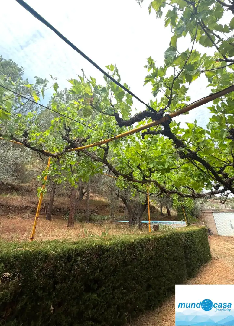 Jardí de Finca rústica en venda en Morata de Jalón amb Piscina comunitària