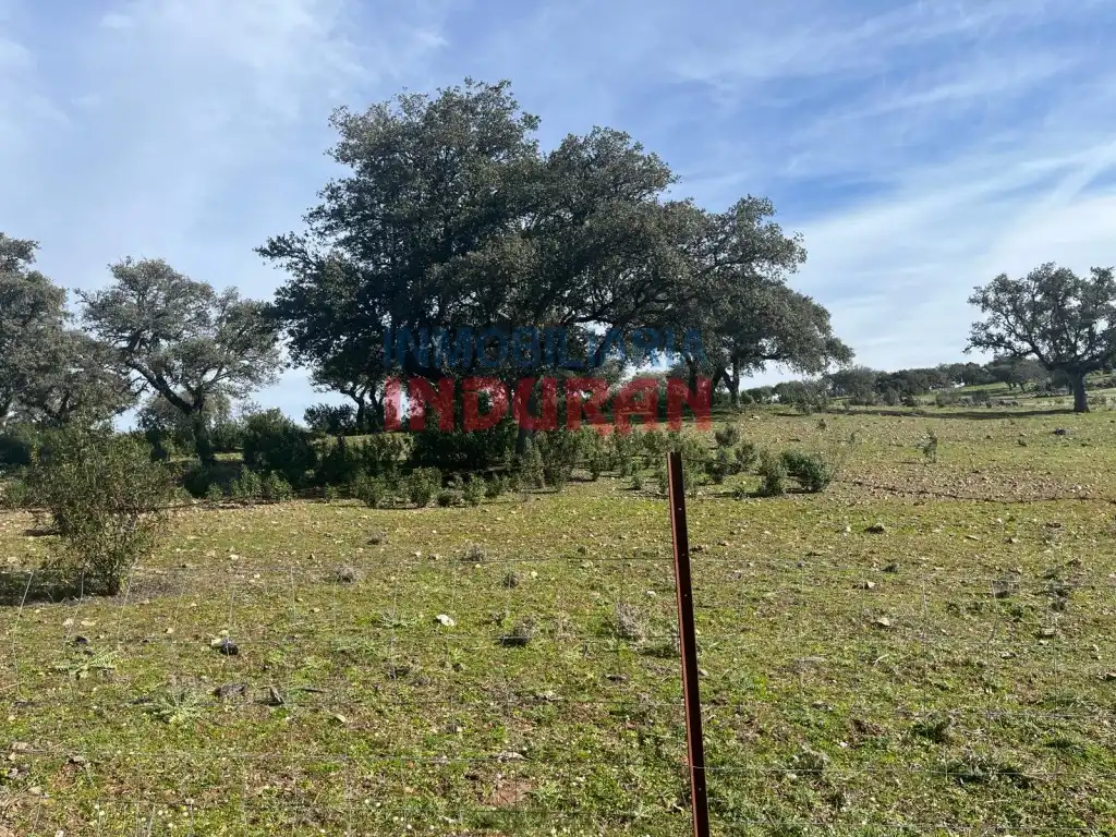 Finca rústica en venda en Puerto de San Vicente