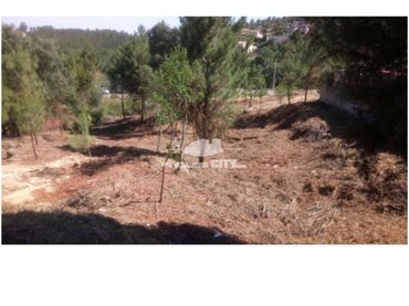 Terreno residenziale in vendita a Calle Guatlla