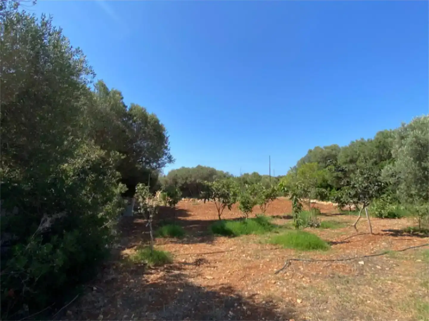 Country house zum Verkauf in Sant Lluís mit Schwimmbad