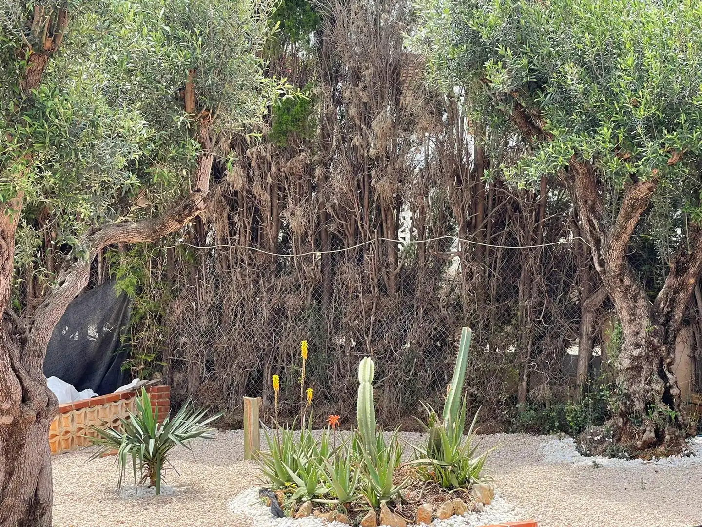 Garden of Houses for sale in Dénia  with Air Conditioner, Heating and Private garden