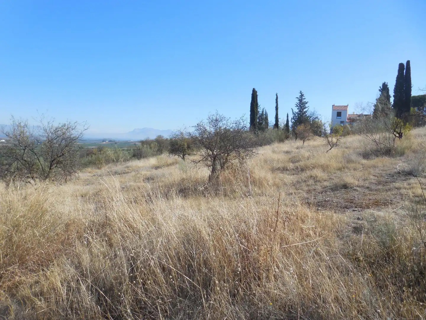 Apartment zum Verkauf in Moraleda de Zafayona, imagen 4