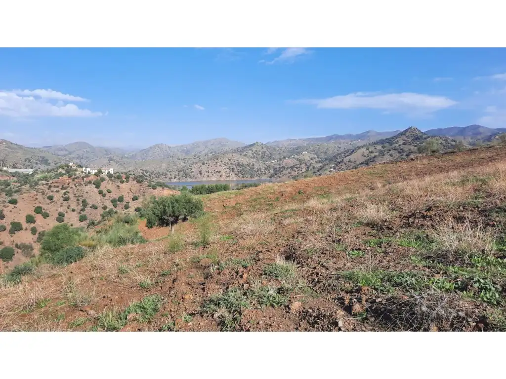 Terrenos y solares en venta en Almogía, imagen 5
