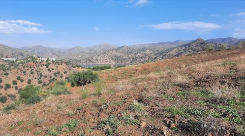 Se Vende Finca con 3 Parcelas juntas en Almogía, Málaga, imatge 5