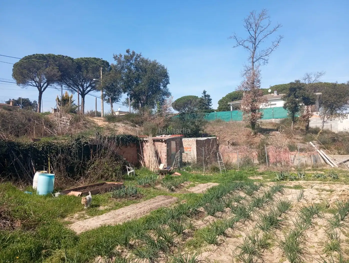 Residential land for sale in Carrer de l'Empordà 841, imagen 3