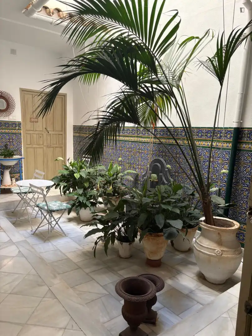 Jardí de Apartament per a compartir en Centro
