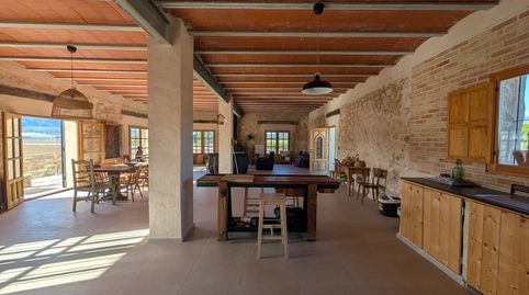 Foto 5 de Finca rústica en venta en Salinas, Alicante