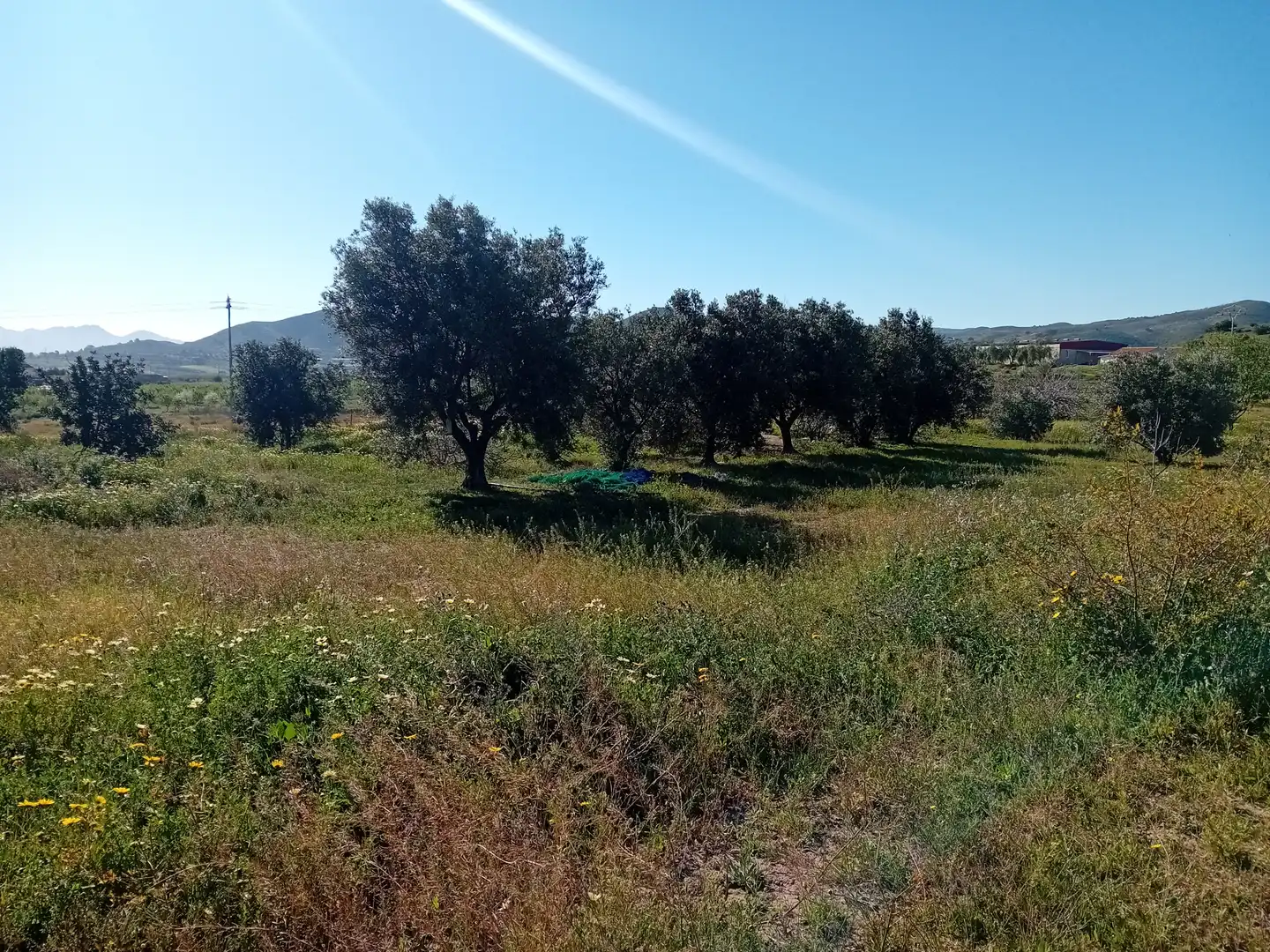 Land for sale in Cartagena