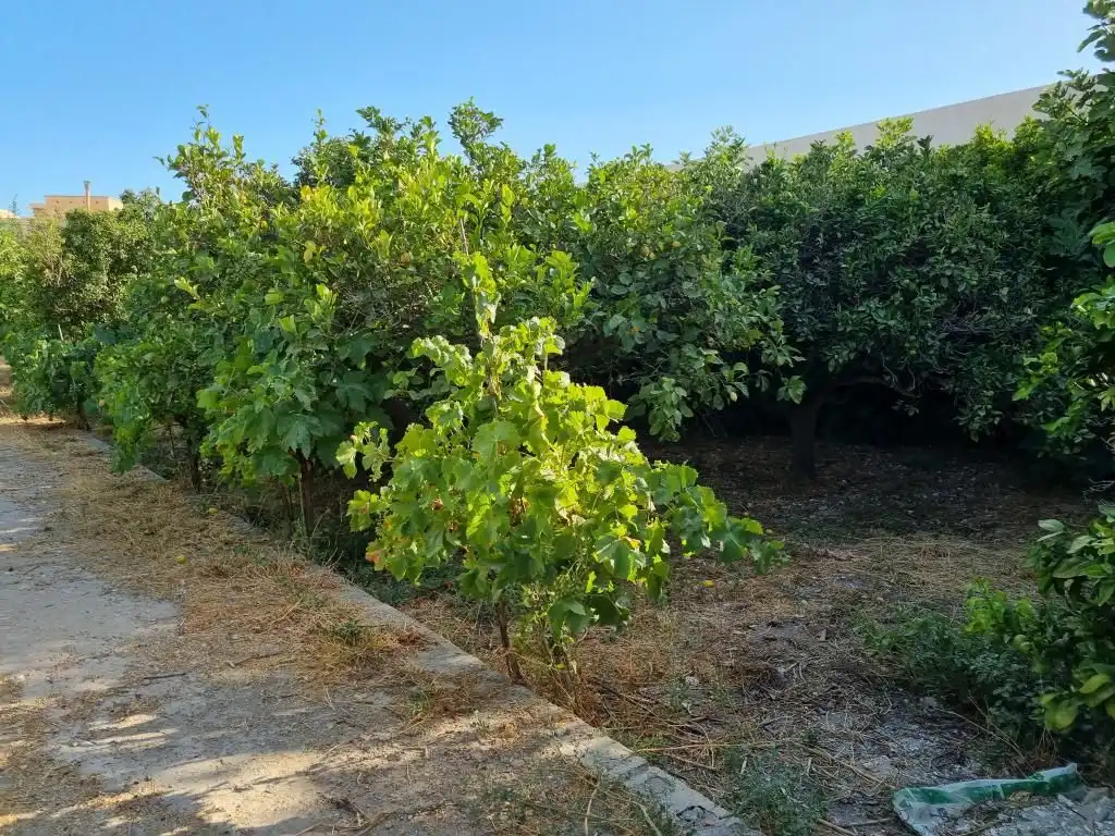 Casa o chalet en venta en Alhama de Almería con Jardín privado, Terraza y Piscina