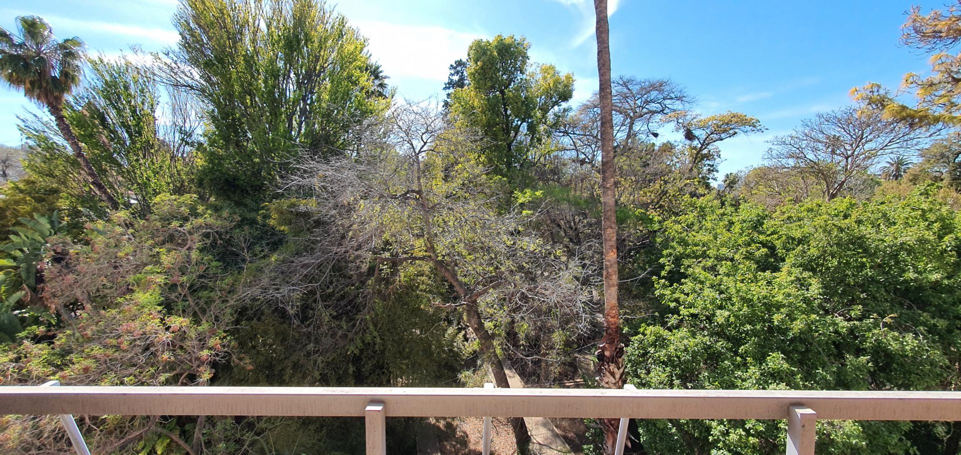 Garden of Flat for sale in  Valencia Capital  with Terrace and Balcony