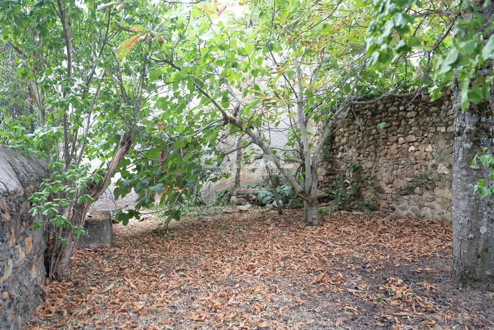 Land for sale in Riaza