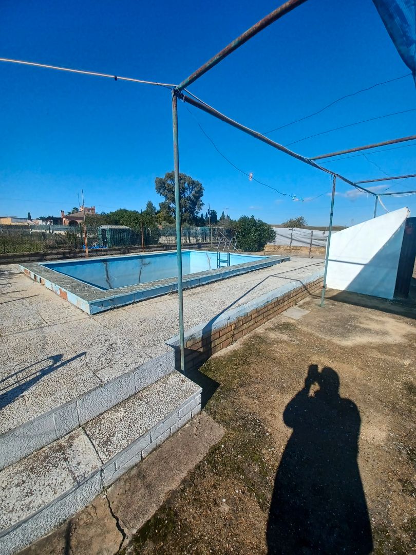 Schwimmbecken von Country house zum verkauf in Sanlúcar la Mayor mit Klimaanlage, Privatgarten und Terrasse