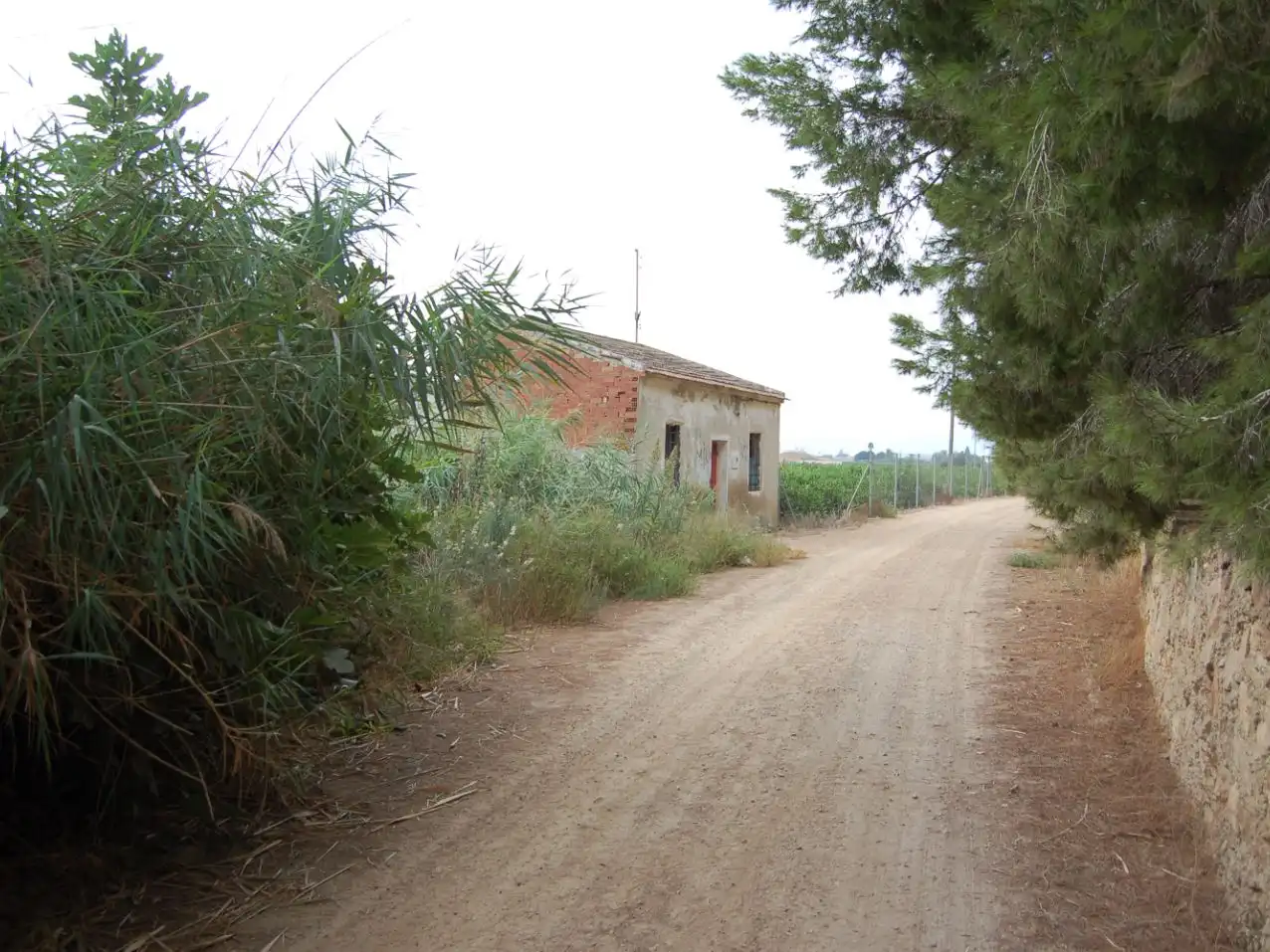 Casa rústica amb jardí en venda a vereda del cementario 264