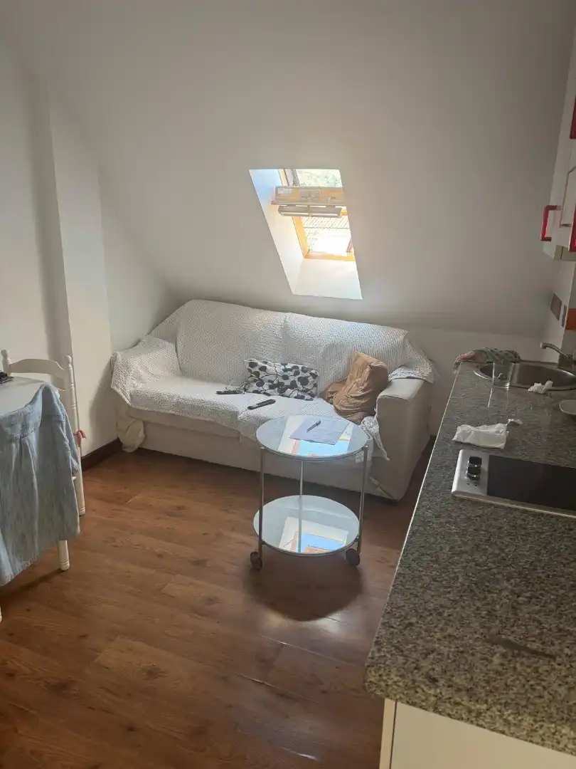 Sala de estar de Estudio de alquiler en Oviedo  con Calefacción, Parquet y Amueblado