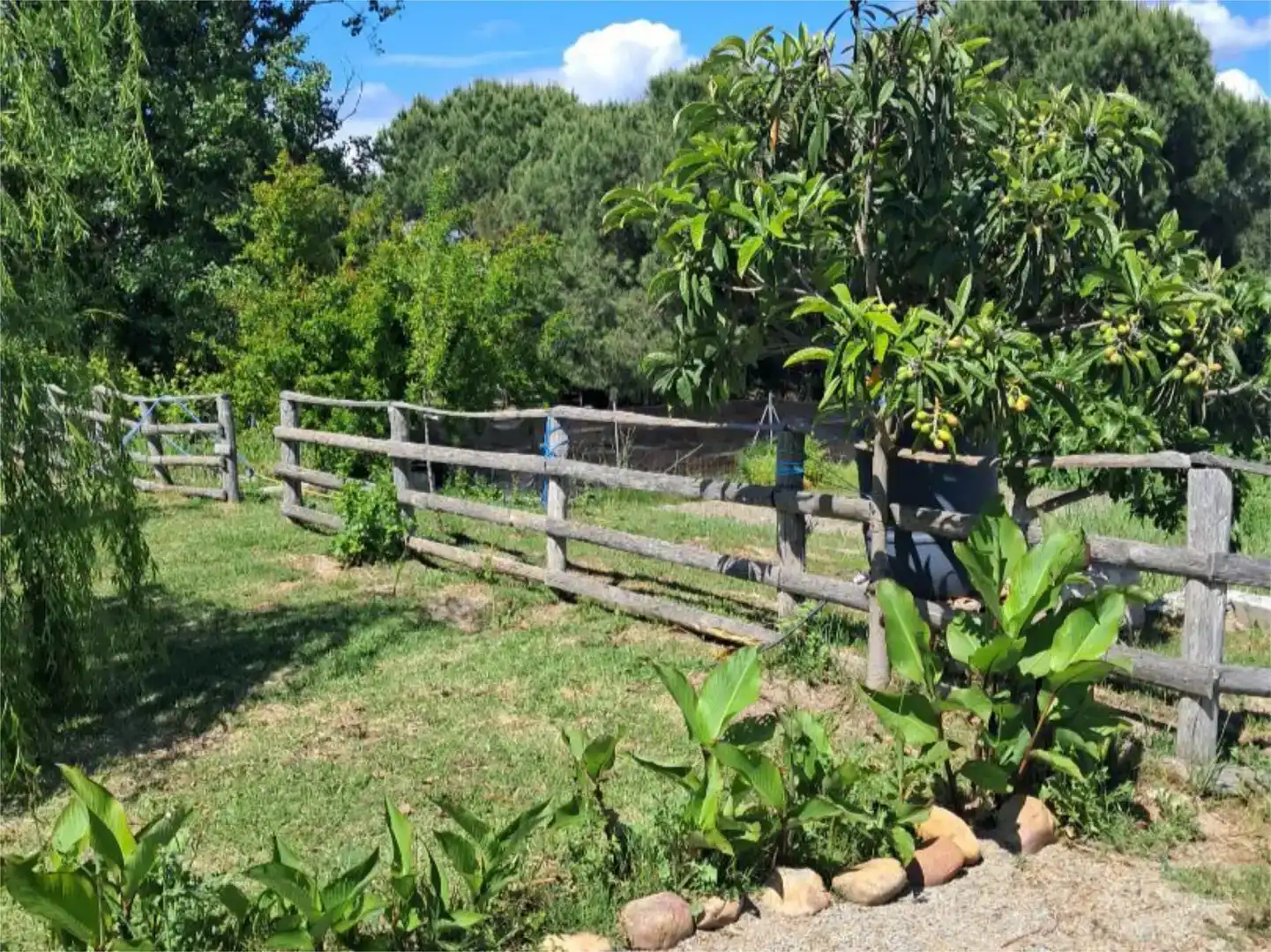 Jardí de Pis en venda en Navalmoral de la Mata amb Aire condicionat, Jardí privat i Traster