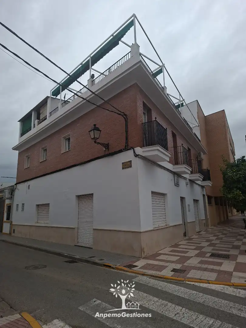 Vista exterior de Local de alquiler en Palma del Río