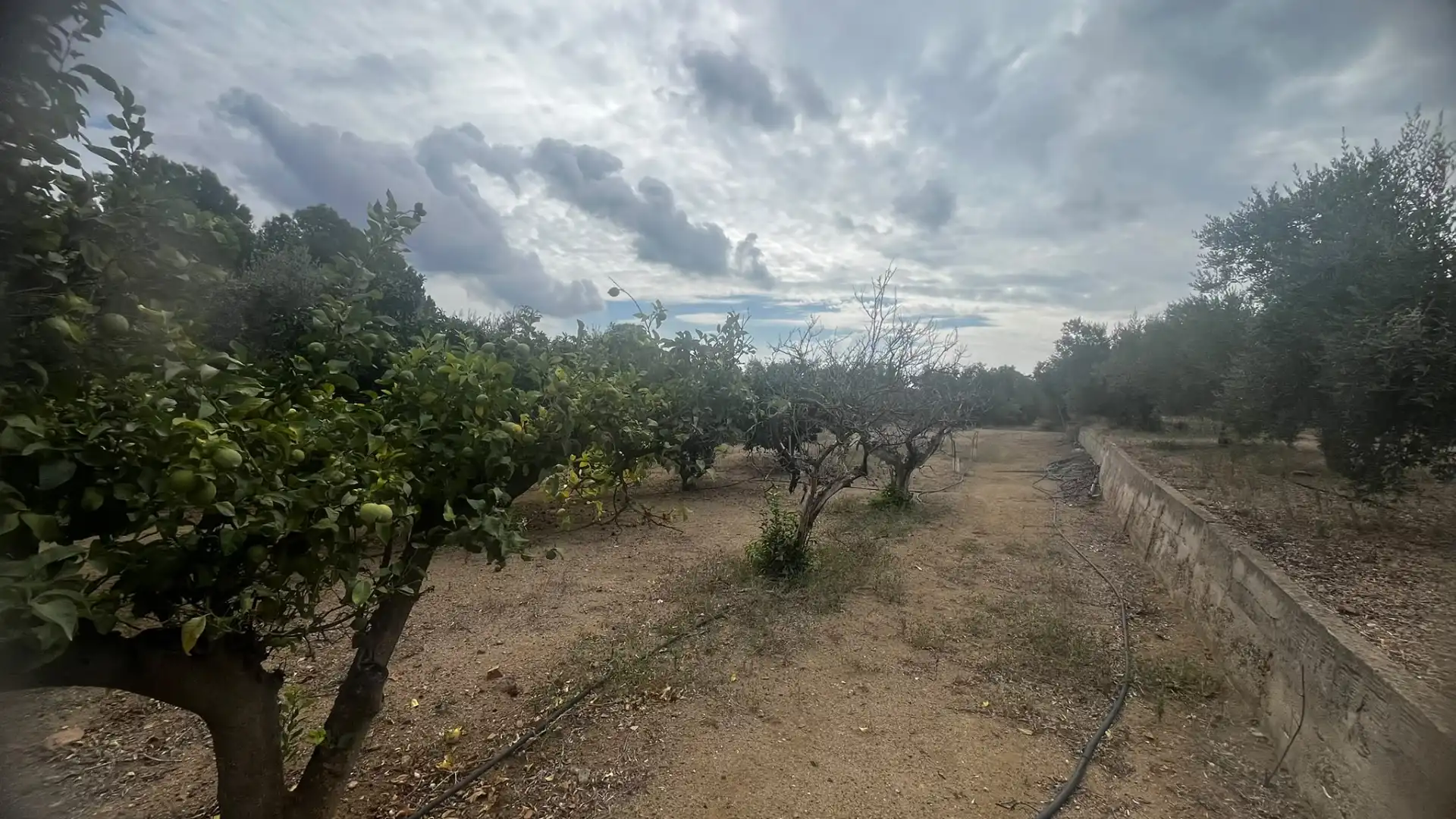 Terreno rustico in vendita a Carrer de Sant Abdó i Sant Senén, imagen 26