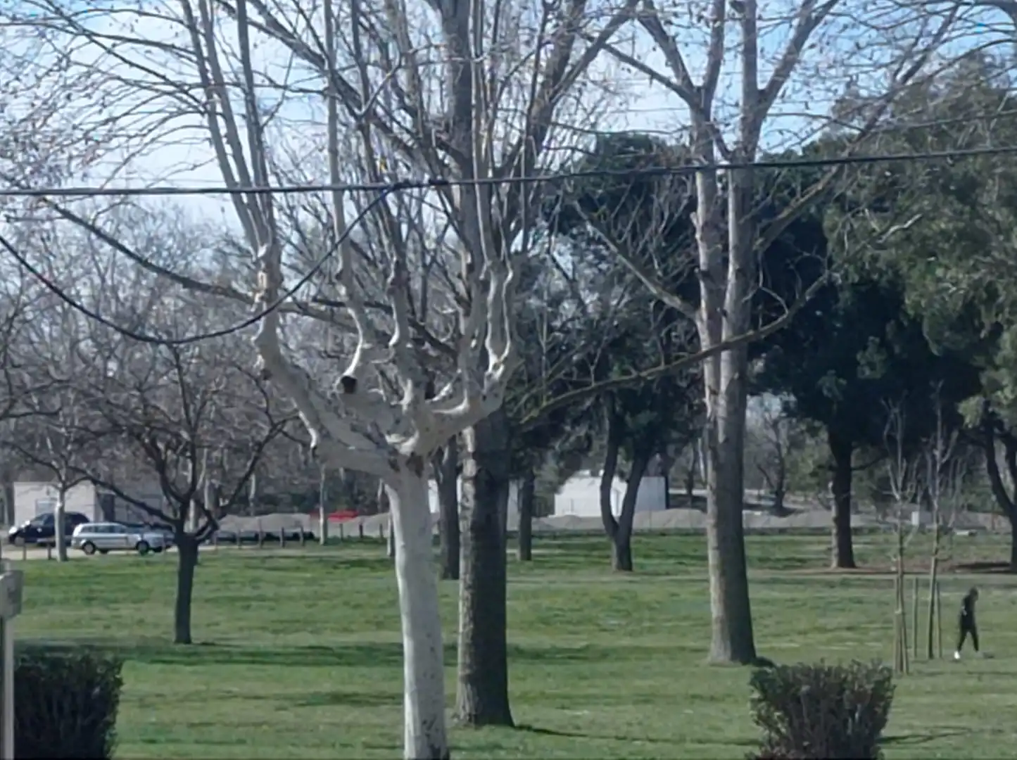Garten von Wohnung zum Verkauf in Empuriabrava mit Klimaanlage, Heizung und Möbliert