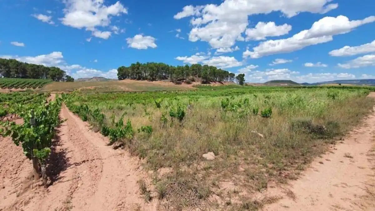 Residencial en venda en Azofra
