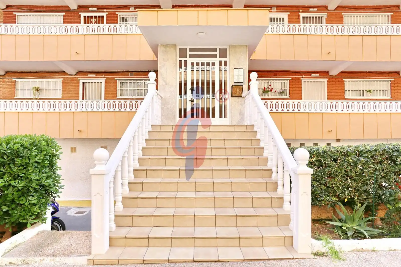 Vista exterior de Apartamento en venta en Torrevieja con Terraza y Amueblado