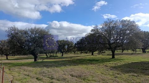 Foto 3 de Casa o chalet en venta en Urbanizacion la Hilera, Navalmoral de la Mata, Cáceres
