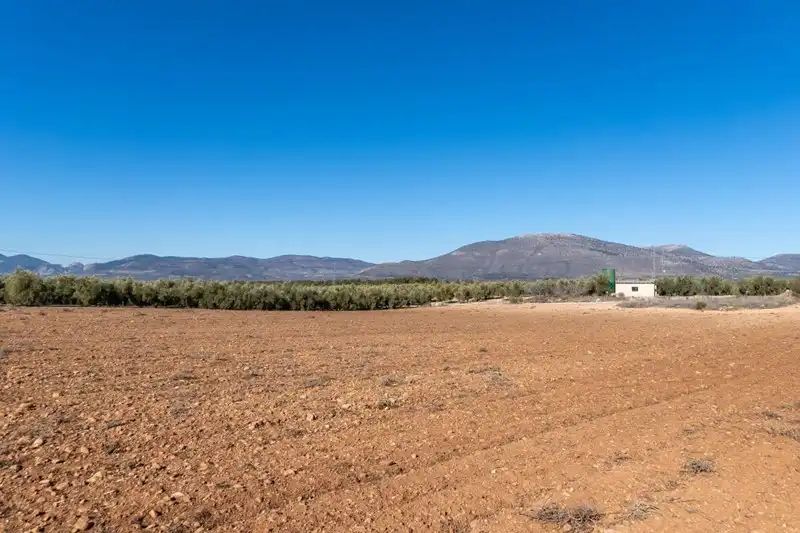 Terreni e lotti in vendita a Cogollos de la Vega, imagen 38