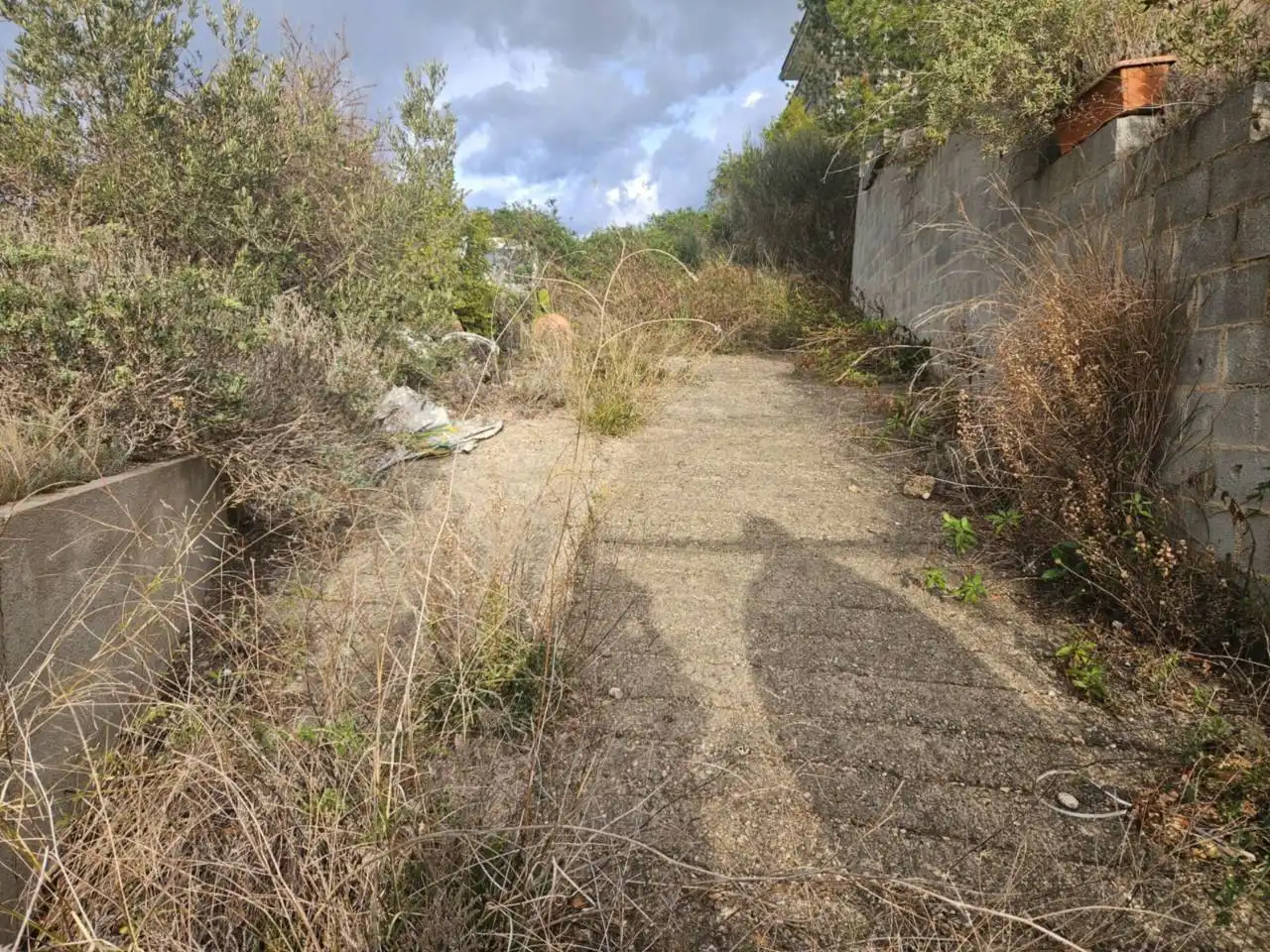 Rural land for sale in Calle Pins, imagen 9