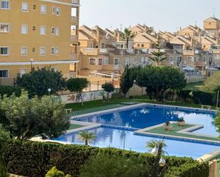 Piscina de Apartament de lloguer en Torrevieja amb Aire condicionat, Calefacció i Terrassa