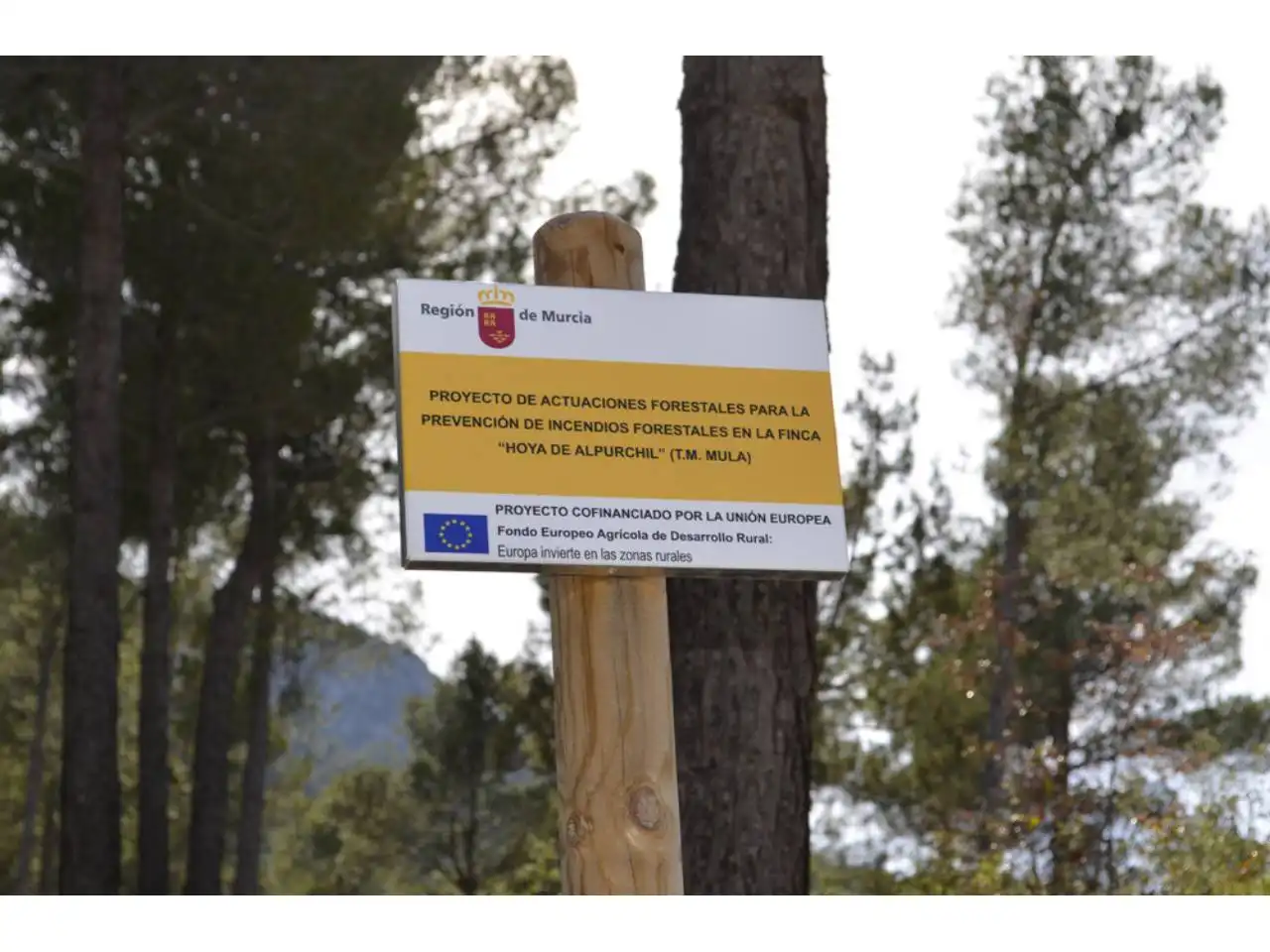 Lands and plots for sale in Pasaje Rincones y Sierra Espuña, imagen 19