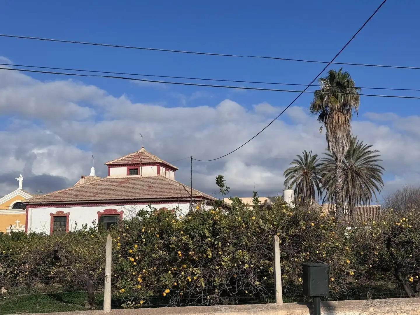 Exterior view of Houses for sale in Murcia  with Private garden