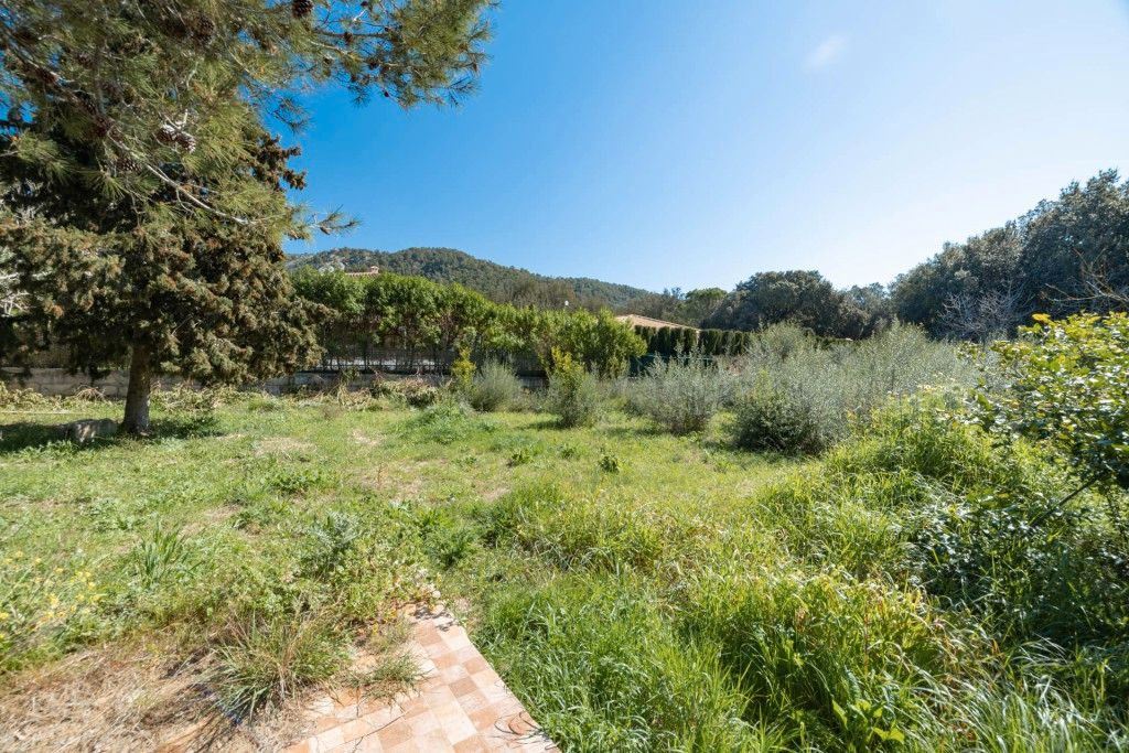 Garden of Land for sale in Pollença