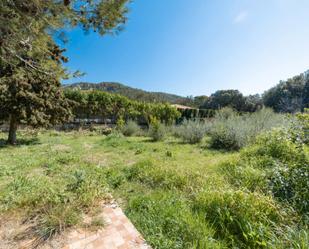 Garden of Land for sale in Pollença