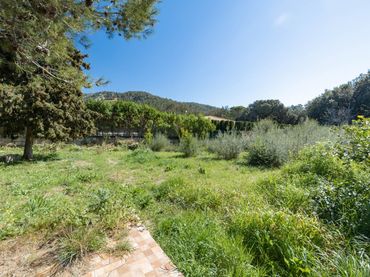 Terrain rustique à vendre à Port de Pollença