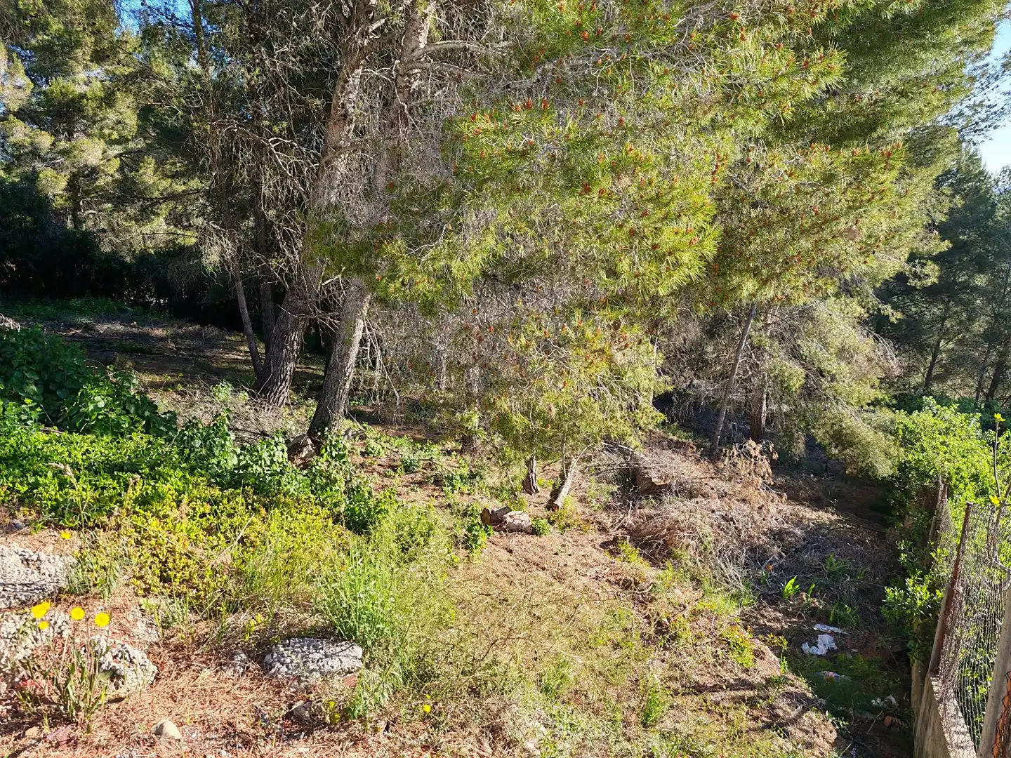 Residential land for sale in Gaia-Ur Can Gordei, imagen 5