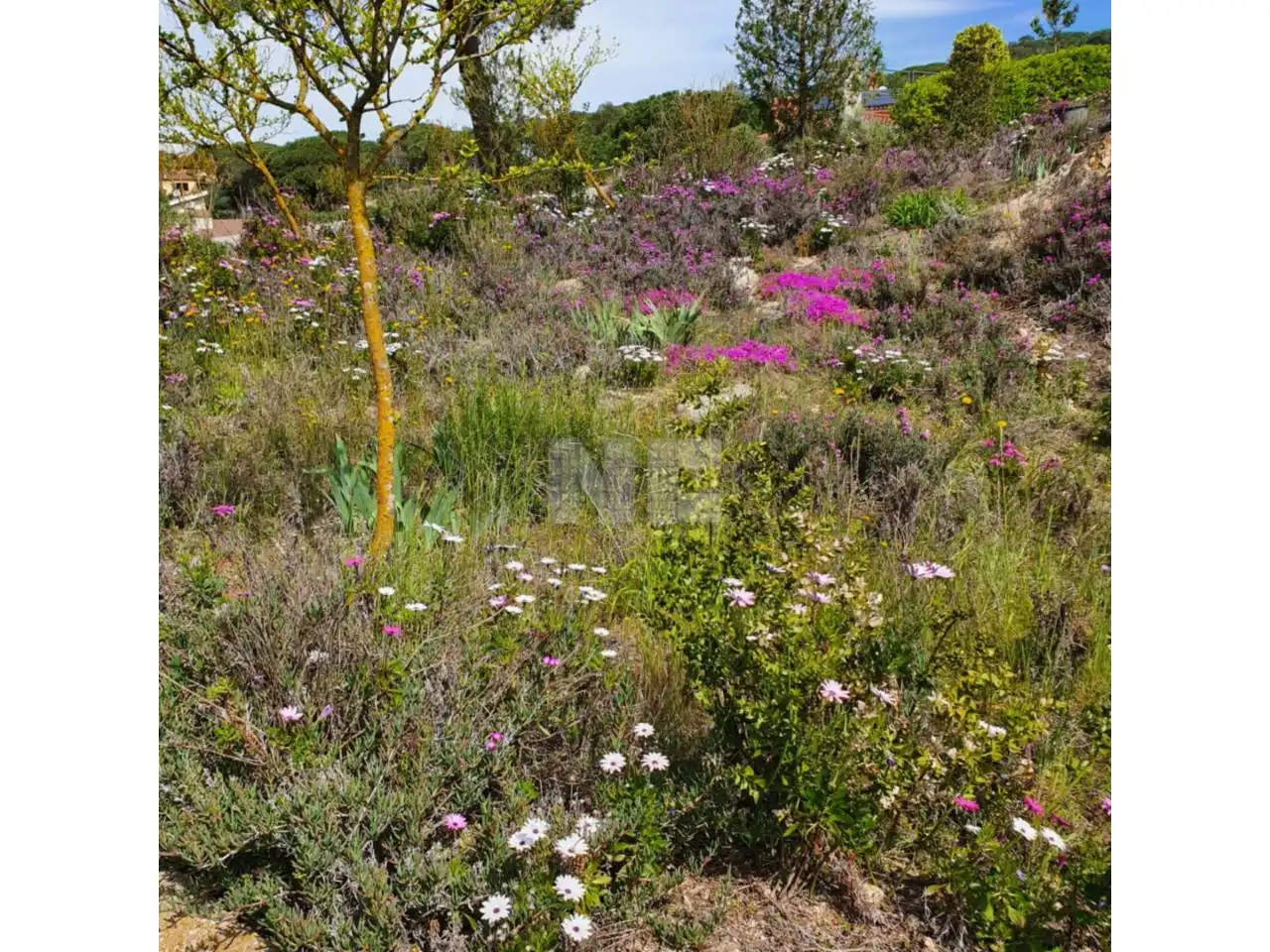Rural land for sale in Vilanova del Vallès, imagen 3