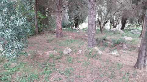 Terreno urbano en Barx