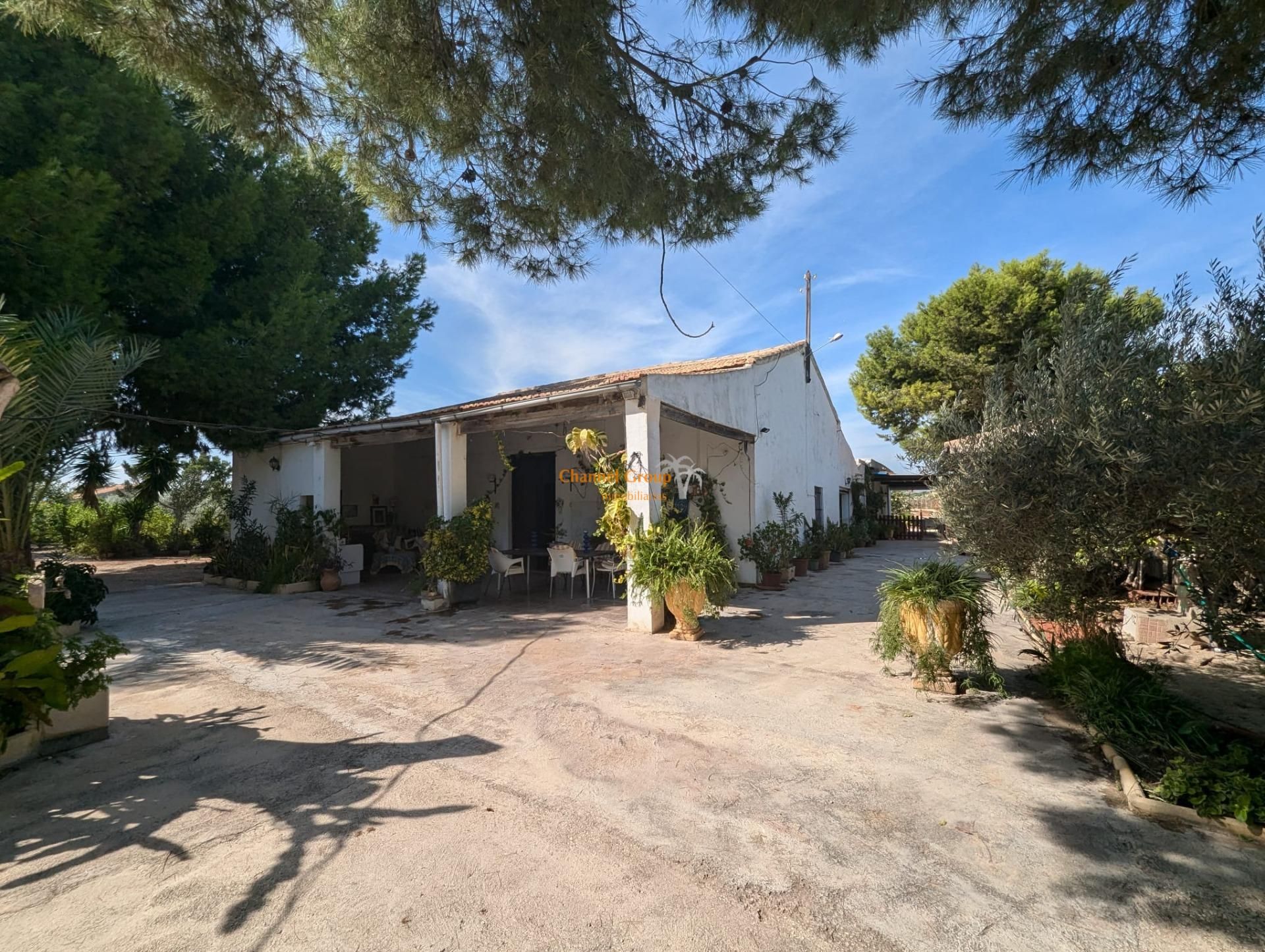 Vista exterior de Finca rústica en venda en Elche / Elx