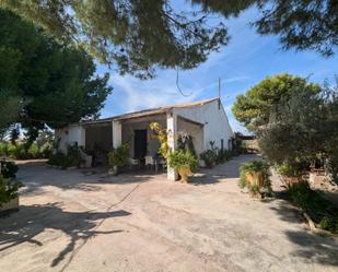 Vista exterior de Finca rústica en venda en Elche / Elx