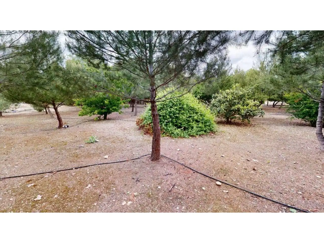 Villa con piscina in vendita a Caravaca de la Cruz, imagen 7