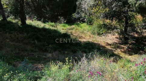 Foto 4 de Residencial en venda a Carrer del Pi Gros, 29, Argentona Est, Argentona