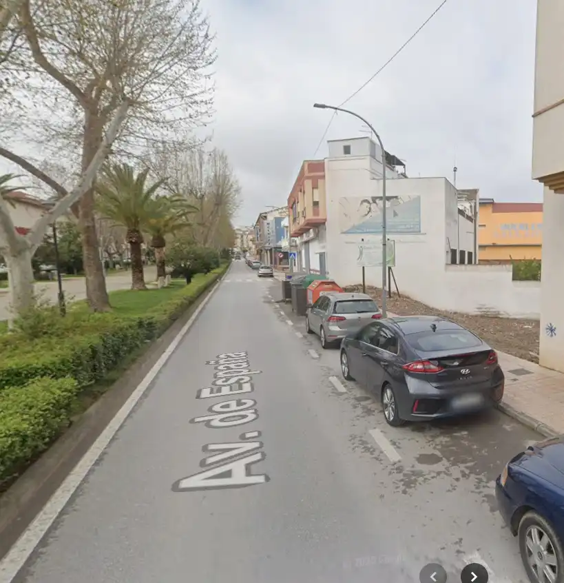 Terreni e lotti in vendita a Avenida de España 37, imagen 5