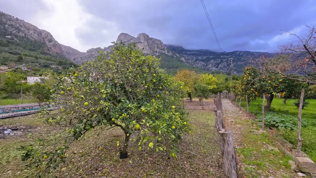 Terraced house with garden for sale in Sóller, imagen 9
