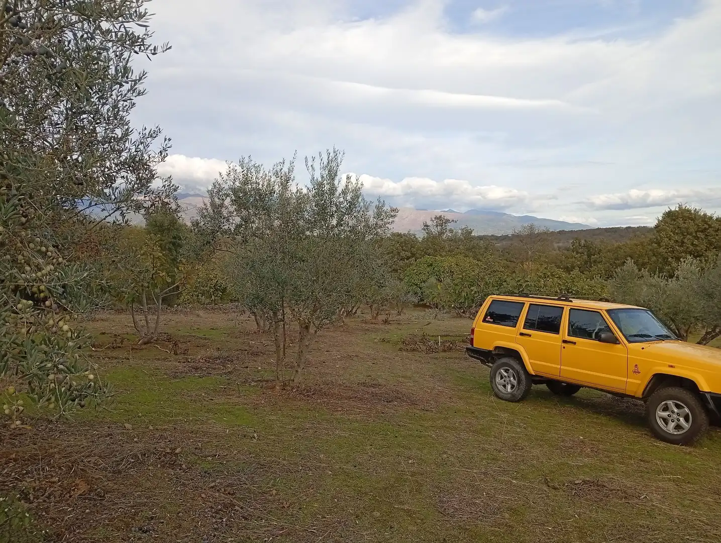 Terreni e lotti in vendita a Villanueva de la Vera, imagen 62