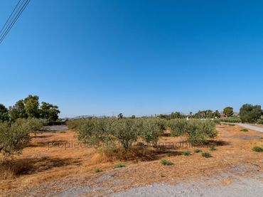 Rustikales Grundstück zum Verkauf in Pedanías Centro