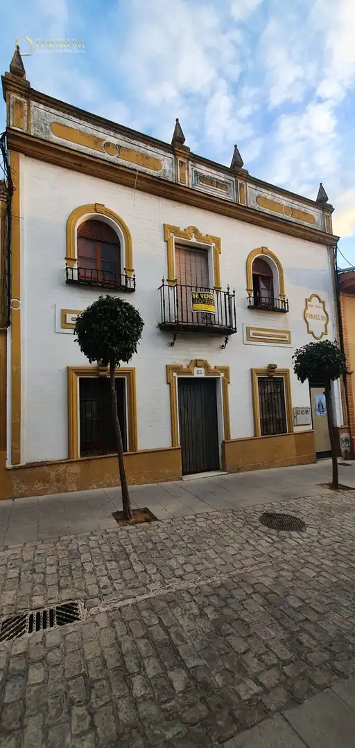 Vista exterior de Casa o chalet en venta en Bormujos con Terraza, Piscina y Piscina comunitaria