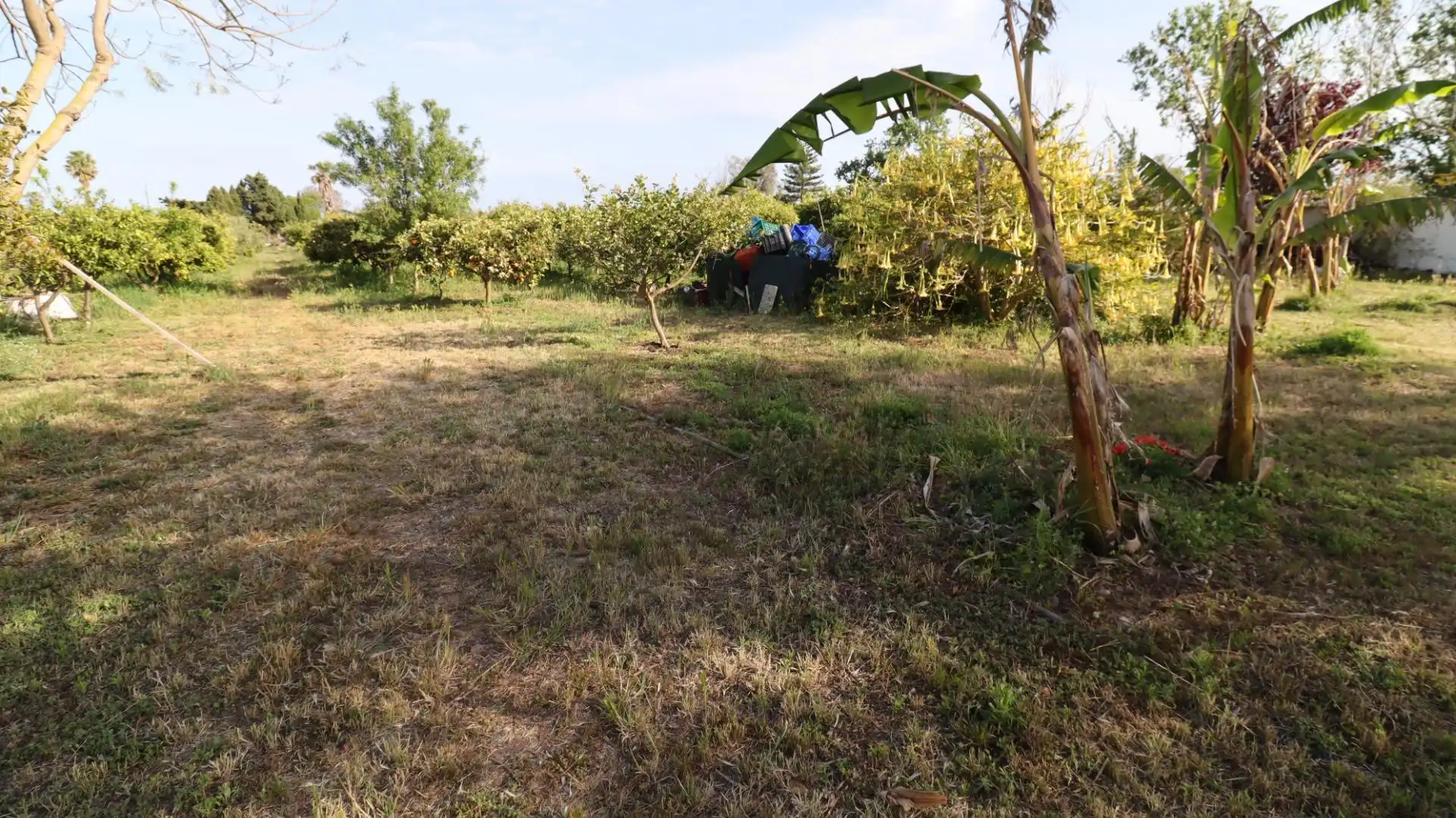 Finca rústica en venda en Alcanar amb Jardí privat i Piscina comunitària