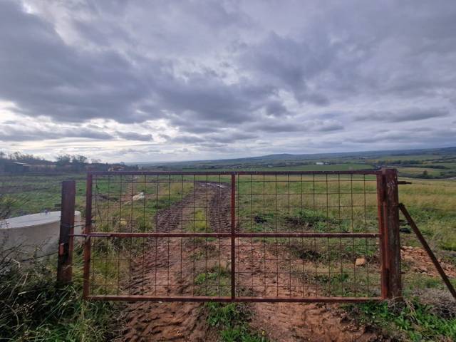 Terreno en Venta en Montehermoso