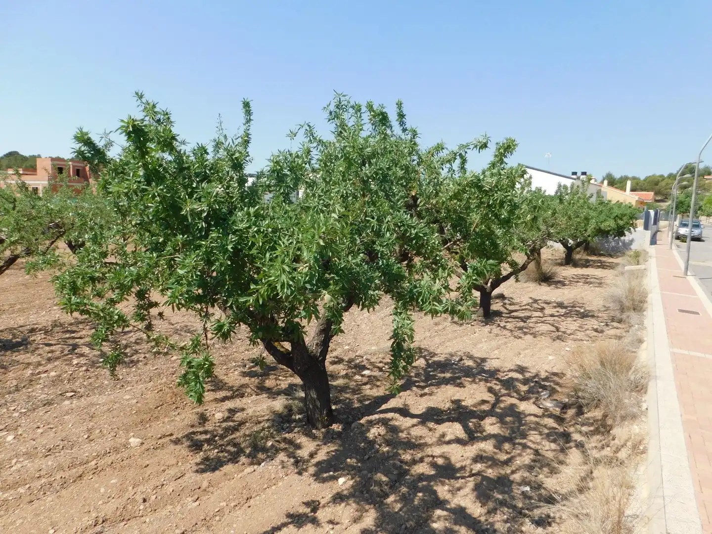 Residential land for sale in Carretera Carretera Llano de Béjar 5, imagen 5