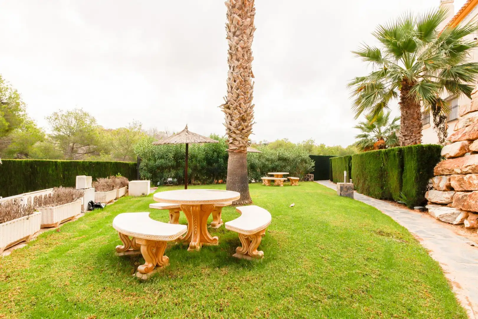 Apartamento con terraza en venta en Avenida de las Ramblas de Oleza, imagen 8